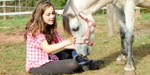 How Can I Understand What My Horse Is Communicating Through Body Language?