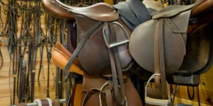 How Do I Choose the Right Tack for My Horse?