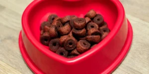 Delicious Snacks Your Dog Will Love