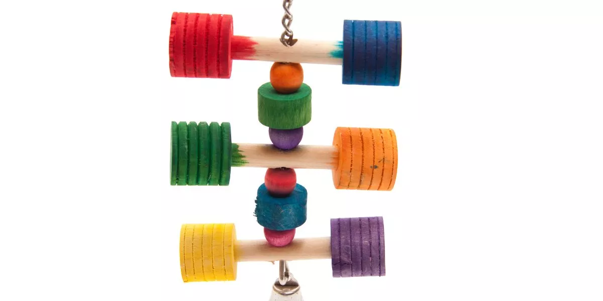 How Can I Make Toys for My Bird at Home?