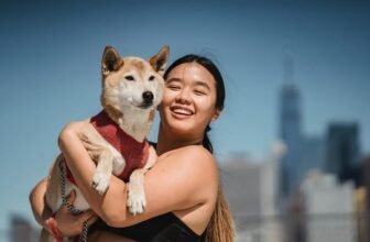 small animal dental care