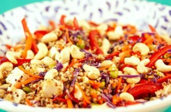 small pet dietary advice