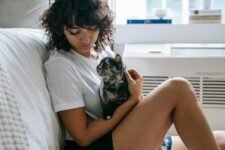 strengthening bond with your cat
