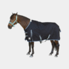 Horse Blankets & Sheets