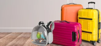 Top 5 Best Bird Carriers for Safe and Comfortable Travel