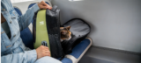 Top 5 Best Cat Carriers & Travel Products for Comfortable Trips